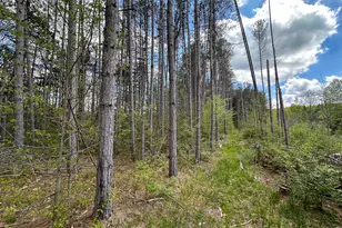 5320 E 18 Rd, Manton, MI 49663 - Photo 49