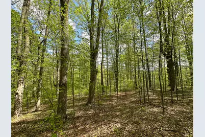 5320 E 18 Road, Manton, MI 49663 - Photo 53