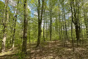 5320 E 18 Rd, Manton, MI 49663 - Photo 53