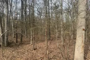0 E Meinert Rd, Holton, MI 49425 - Photo 1