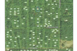 0 Ferris Ave, Bitely, MI 49309 - Photo 1