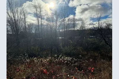 524 S Cherry Street, Evart, MI 49631 - Photo 37