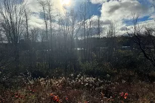 524 S Cherry St, Evart, MI 49631 - Photo 37