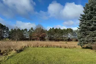 524 S Cherry St, Evart, MI 49631 - Photo 29