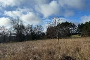 524 S Cherry St, Evart, MI 49631 - Photo 27