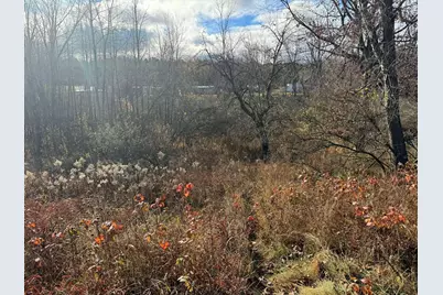 524 S Cherry Street, Evart, MI 49631 - Photo 31