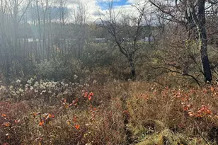 524 S Cherry St, Evart, MI 49631 - Photo 31