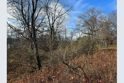 524 S Cherry Street, Evart, MI 49631 - Photo 39