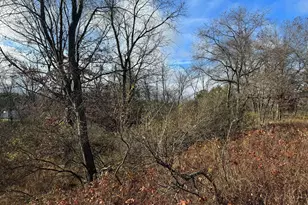 524 S Cherry St, Evart, MI 49631 - Photo 39