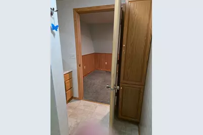 824 Stitt Lane, Mio, MI 48647 - Photo 47