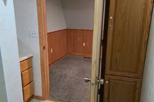 824 Stitt Ln, Mio, MI 48647 - Photo 47