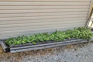 824 Stitt Ln, Mio, MI 48647 - Photo 35