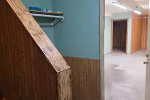 824 Stitt Ln, Mio, MI 48647 - Photo 49