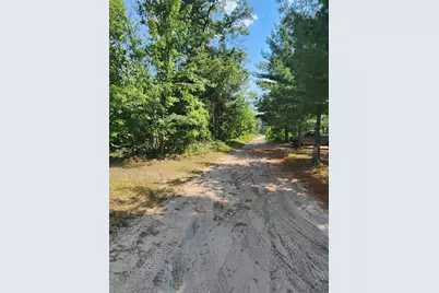 824 Stitt Lane, Mio, MI 48647 - Photo 21