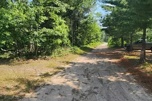 824 Stitt Ln, Mio, MI 48647 - Photo 21