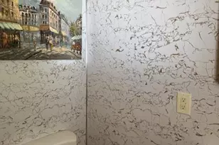 1403 Swain St, White Cloud, MI 49349 - Photo 17