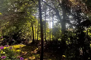 217 Old Creek Dr, Saline, MI 48176 - Photo 11