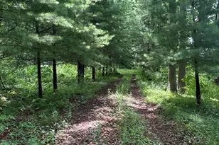 14765 Millard Rd, Three Rivers, MI 49093 - Photo 3