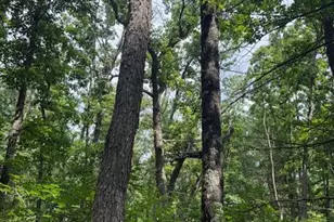 6230 S Evergreen Dr, Newaygo, MI 49337 - Photo 1