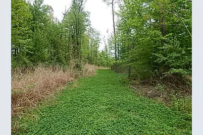 15252 27 Mile Road, Albion, MI 49224 - Photo 27