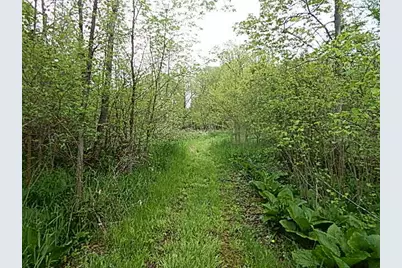 15252 27 Mile Road, Albion, MI 49224 - Photo 35