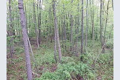 15252 27 Mile Road, Albion, MI 49224 - Photo 45