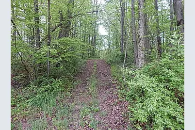 15252 27 Mile Road, Albion, MI 49224 - Photo 37