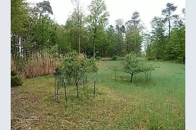 15252 27 Mile Road, Albion, MI 49224 - Photo 3