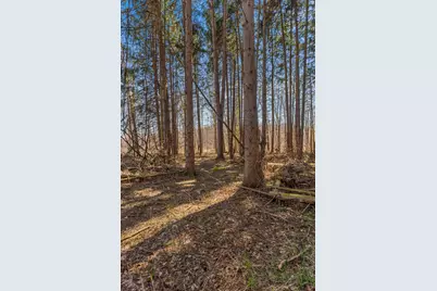 15252 27 Mile Road, Albion, MI 49224 - Photo 51