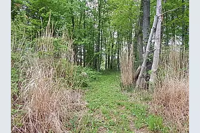 15252 27 Mile Road, Albion, MI 49224 - Photo 29