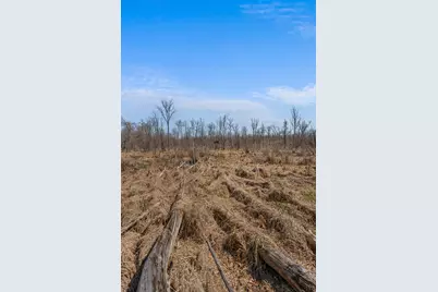 15252 27 Mile Road, Albion, MI 49224 - Photo 65