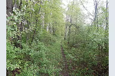 15252 27 Mile Road, Albion, MI 49224 - Photo 39
