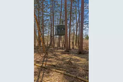 15252 27 Mile Road, Albion, MI 49224 - Photo 53