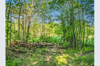 15252 27 Mile Road, Albion, MI 49224 - Photo 11