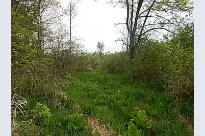 15252 27 Mile Road, Albion, MI 49224 - Photo 31