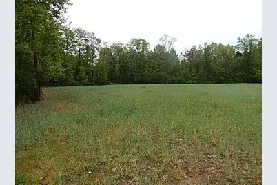 15252 27 Mile Road, Albion, MI 49224 - Photo 11