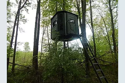 15252 27 Mile Road, Albion, MI 49224 - Photo 41