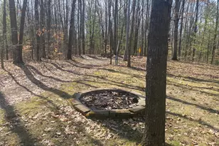 9019 John St, Mecosta, MI 49332 - Photo 1