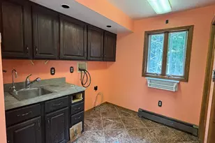 135 S Steer St, Addison, MI 49220 - Photo 15