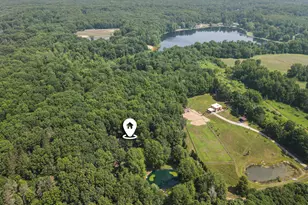 3537 Lake Ridge Ln, Allegan, MI 49010 - Photo 41