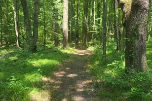 3537 Lake Ridge Ln, Allegan, MI 49010 - Photo 7