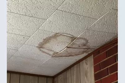 3664 N Hamlock Lane, Irons, MI 49644 - Photo 13