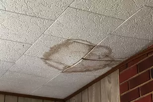 3664 N Hamlock Ln, Irons, MI 49644 - Photo 13