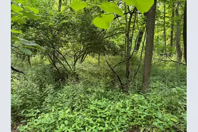 53644 N Fisher Lake Road, Three Rivers, MI 49093 - Photo 9