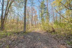 8558 Monterey Dr, Evart, MI 49631 - Photo 109