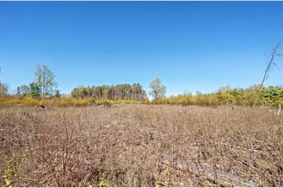 8558 Monterey  Dr, Evart, MI 49631 - Photo 135