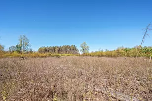 8558 Monterey Dr, Evart, MI 49631 - Photo 135