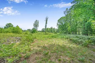 8558 Monterey Dr, Evart, MI 49631 - Photo 53