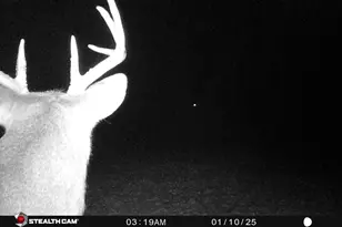 8558 Monterey Dr, Evart, MI 49631 - Photo 85