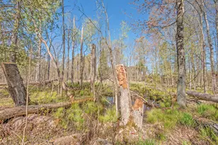 8558 Monterey Dr, Evart, MI 49631 - Photo 129